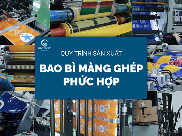 TÚI MÀNG GHÉP PHỨC HỢP